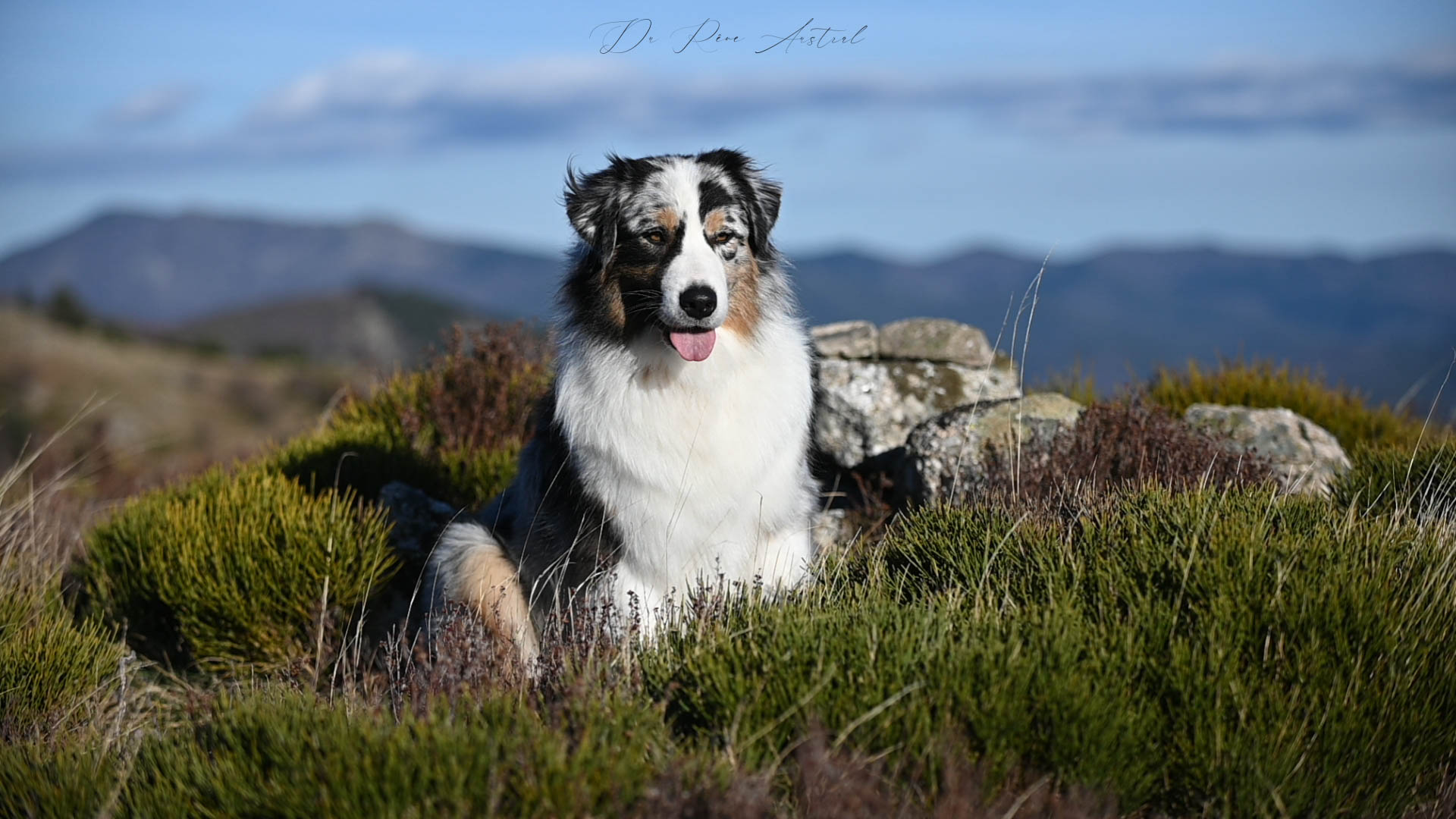 Kiara