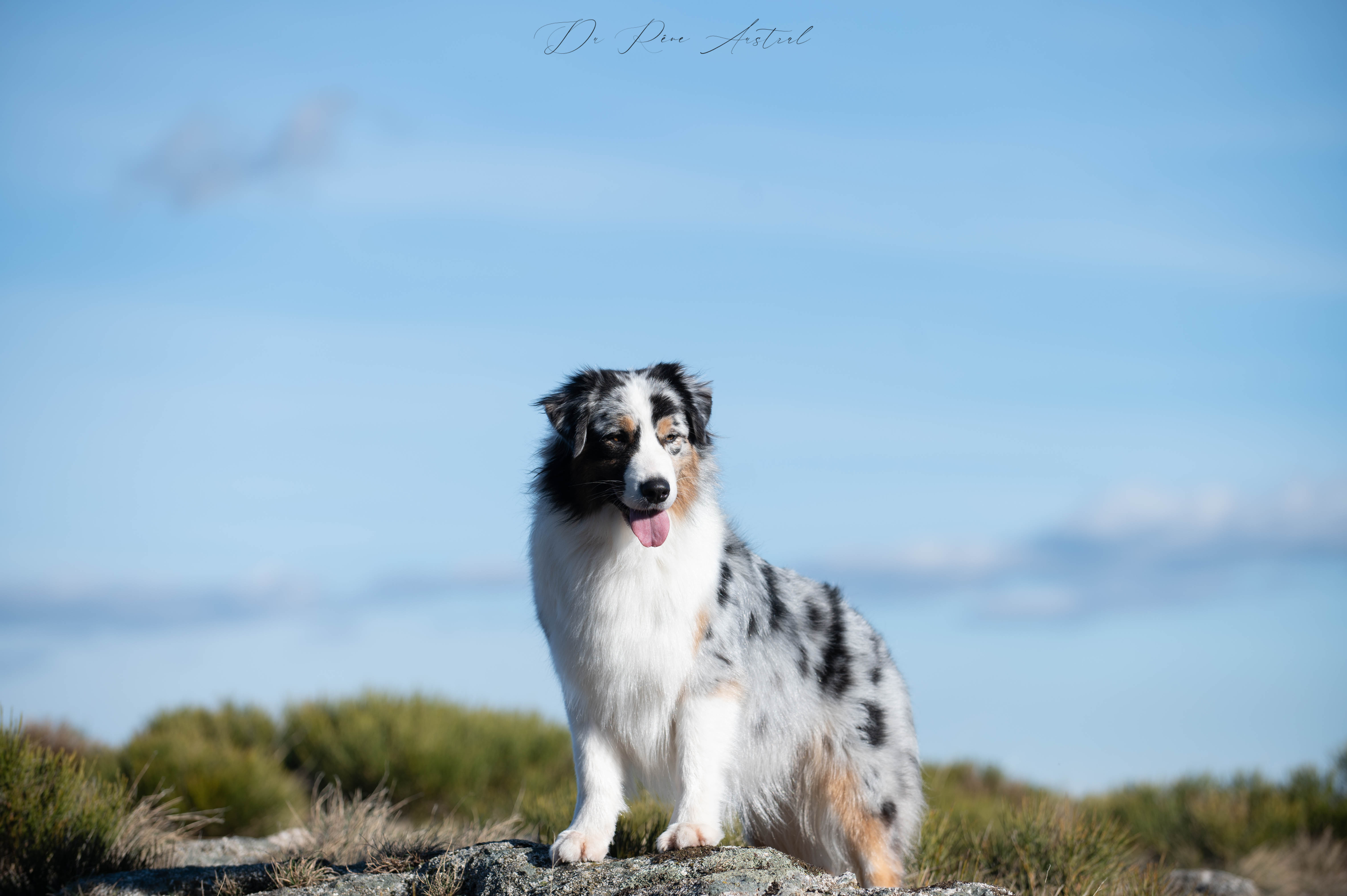 Kiara