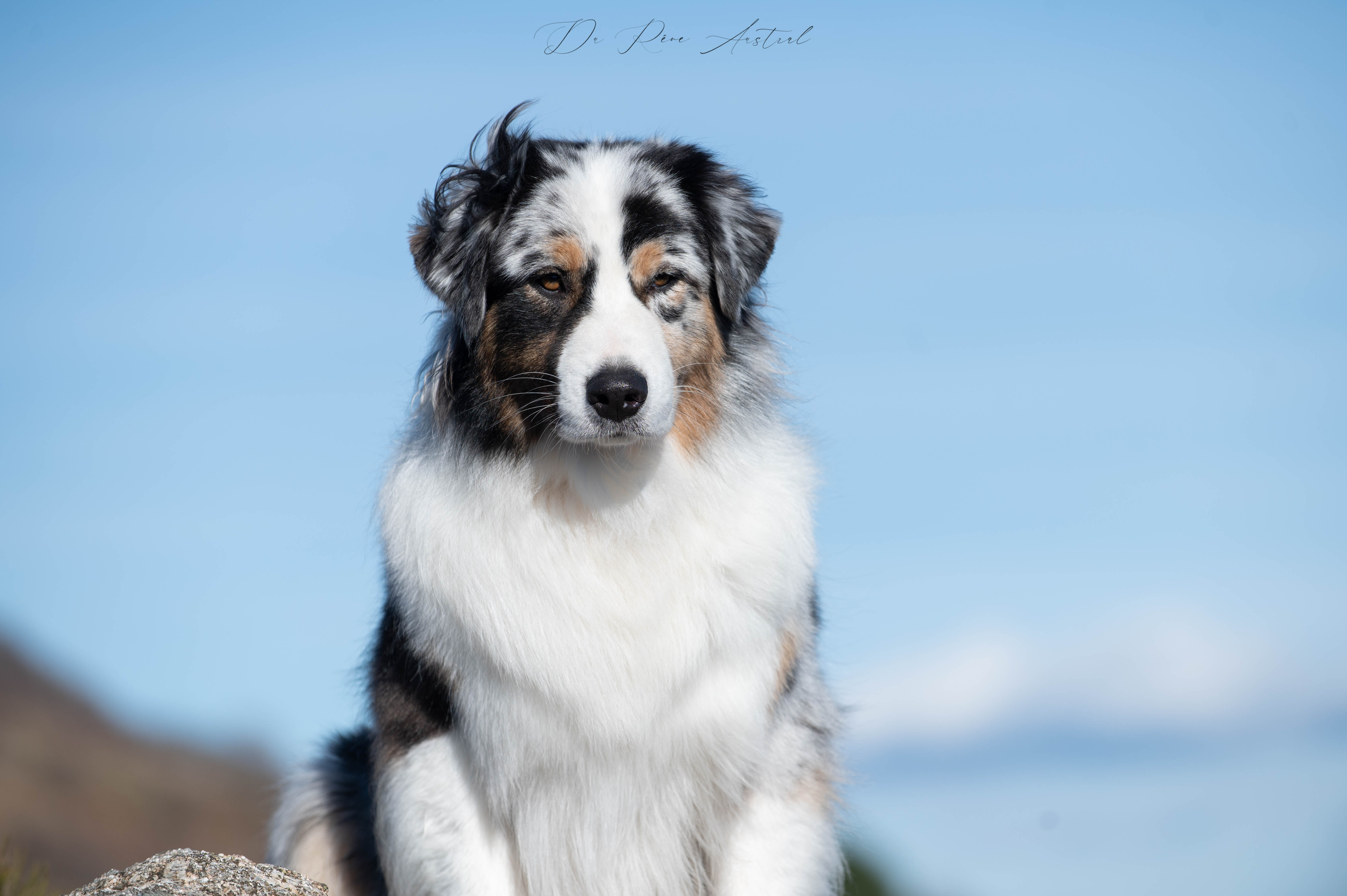 Kiara
