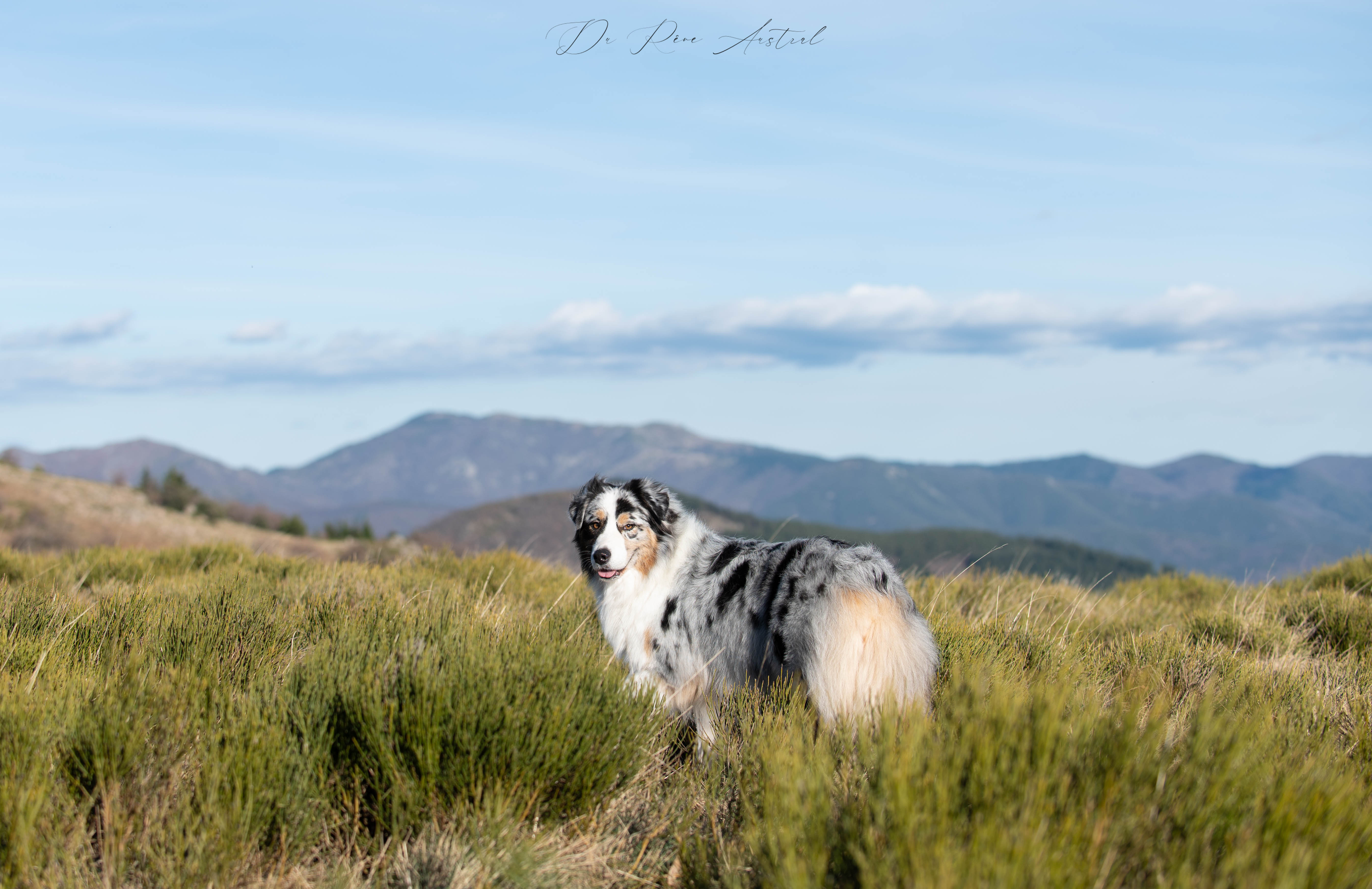 Kiara