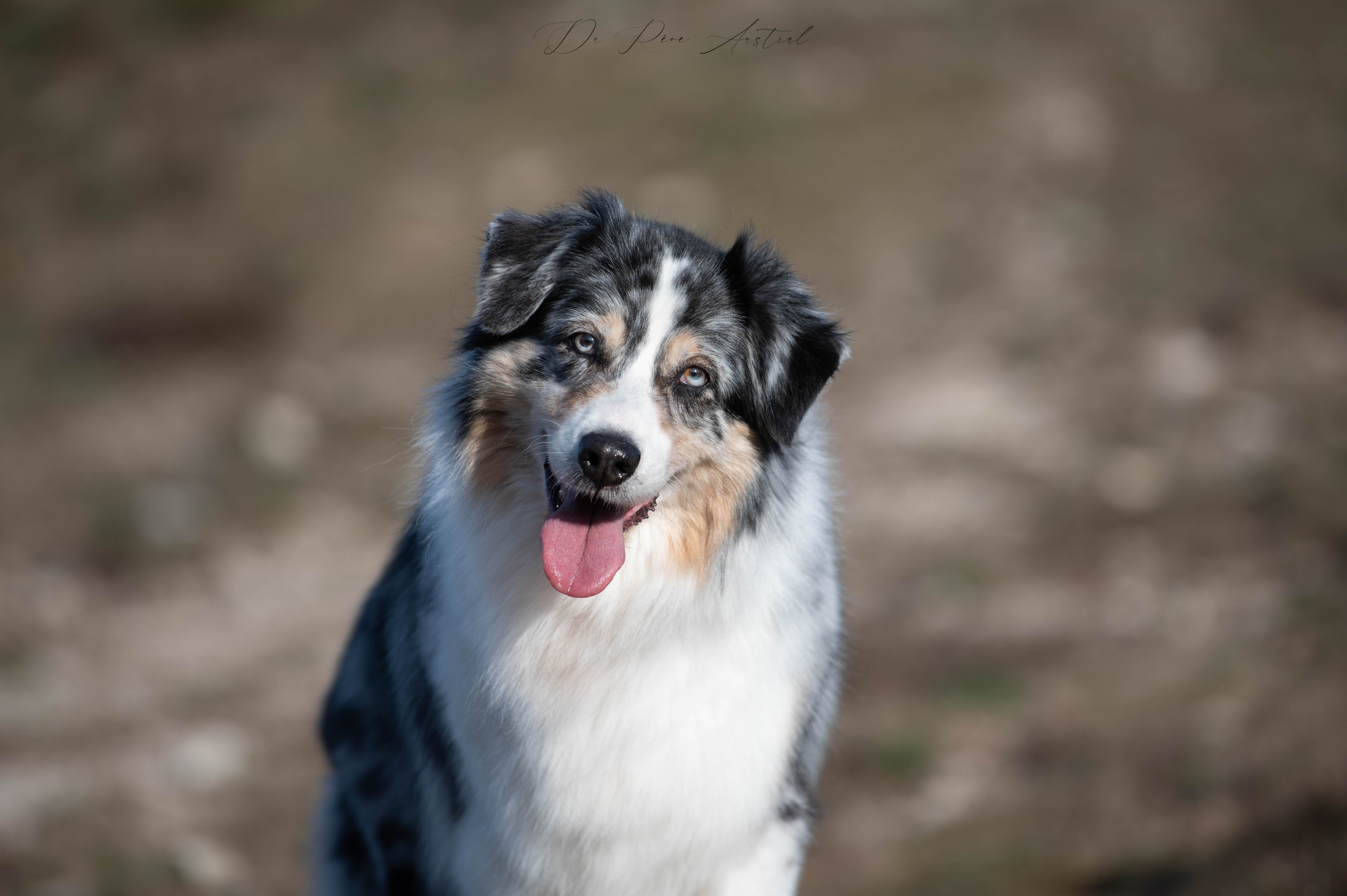 Latika